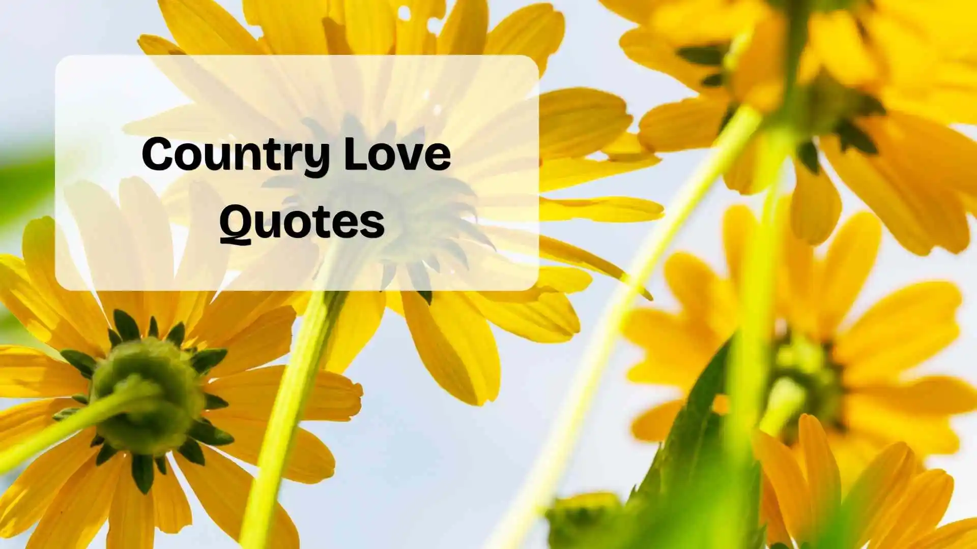 country love quotes