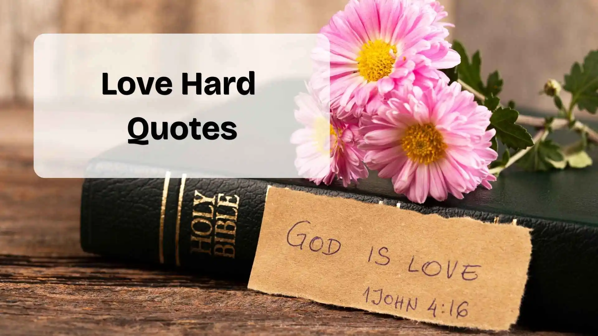 love hard quotes