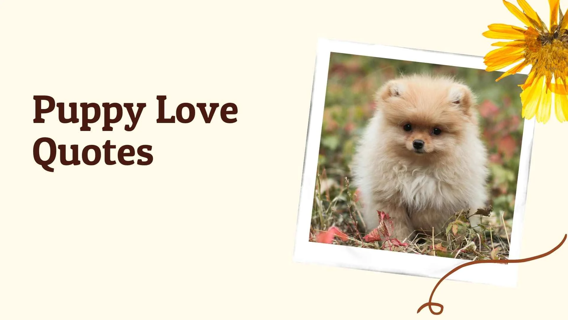 puppy love quotes
