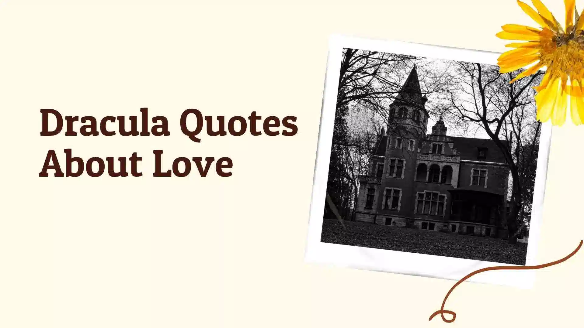 dracula quotes about love