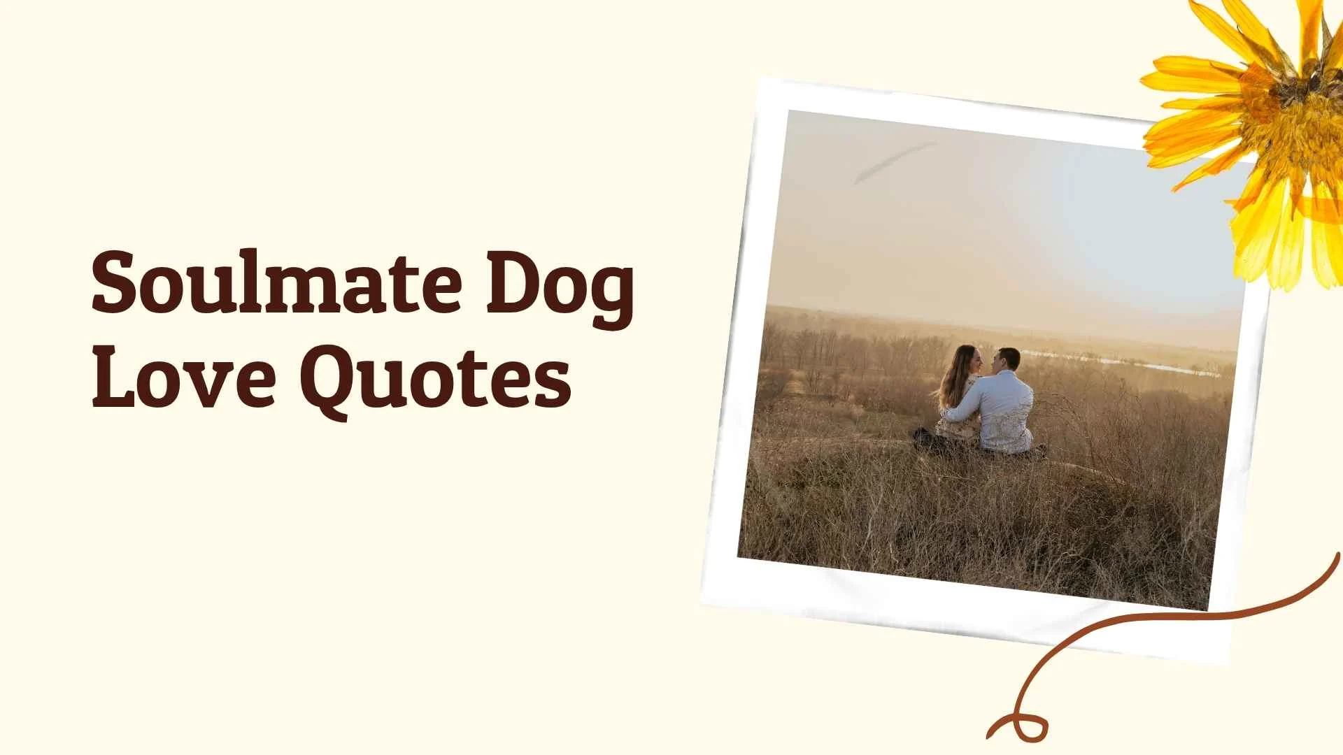 soulmate dog love quotes